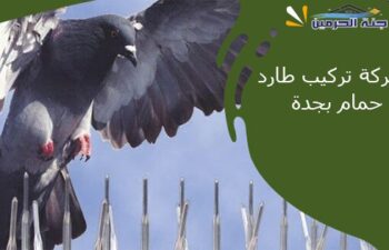 شركة تركيب طارد حمام بجدة