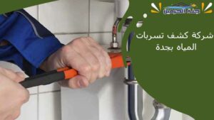 شركة كشف تسربات المياه بجدة