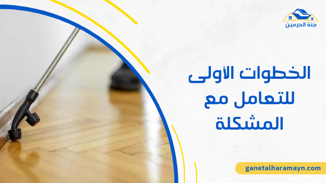 الخطوات الأولى للتعامل مع المشكلة