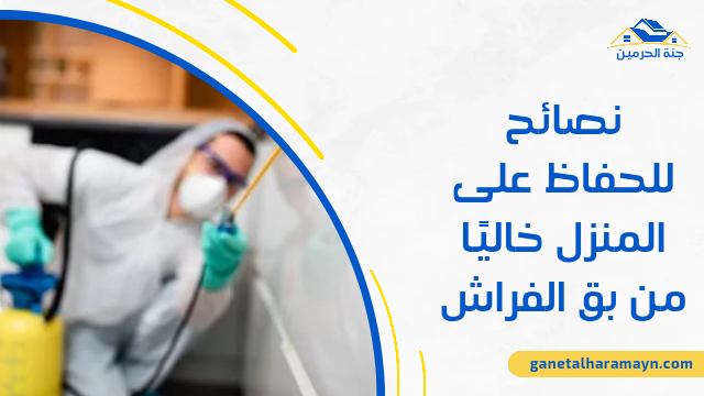 نصائح للحفاظ على المنزل خاليًا من بق الفراش