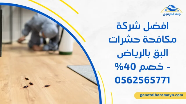 افضل شركة مكافحة حشرات البق بالرياض