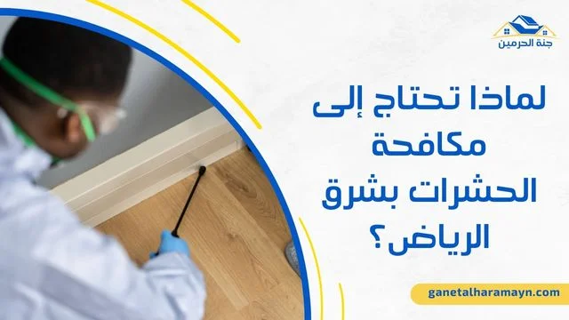 شركة مكافحة حشرات شرق الرياض