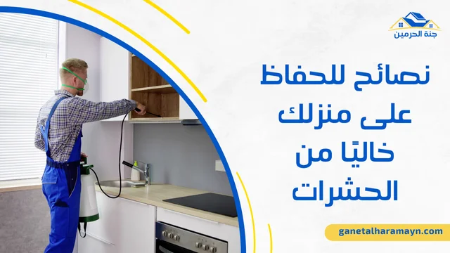 افضل شركة مكافحة حشرات في الرياض