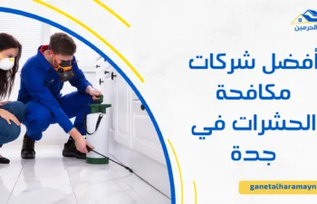 أفضل شركات مكافحة الحشرات في جدة