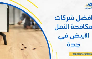 شركات مكافحة النمل الأبيض في جدة