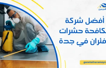 أفضل شركة مكافحة حشرات وفئران في جدة