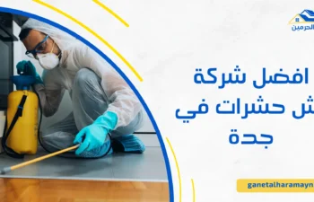 شركة رش حشرات في جدة